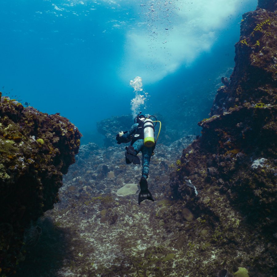 Diving at Mona Island