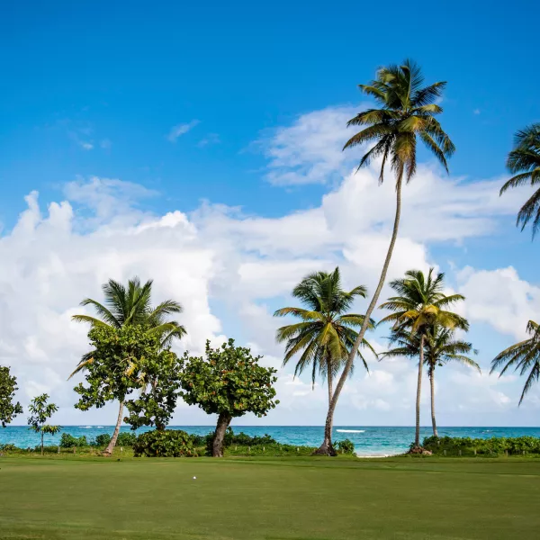 Golfers playing at TPC Dorado Beach, surrounded by lush fairways and ocean views