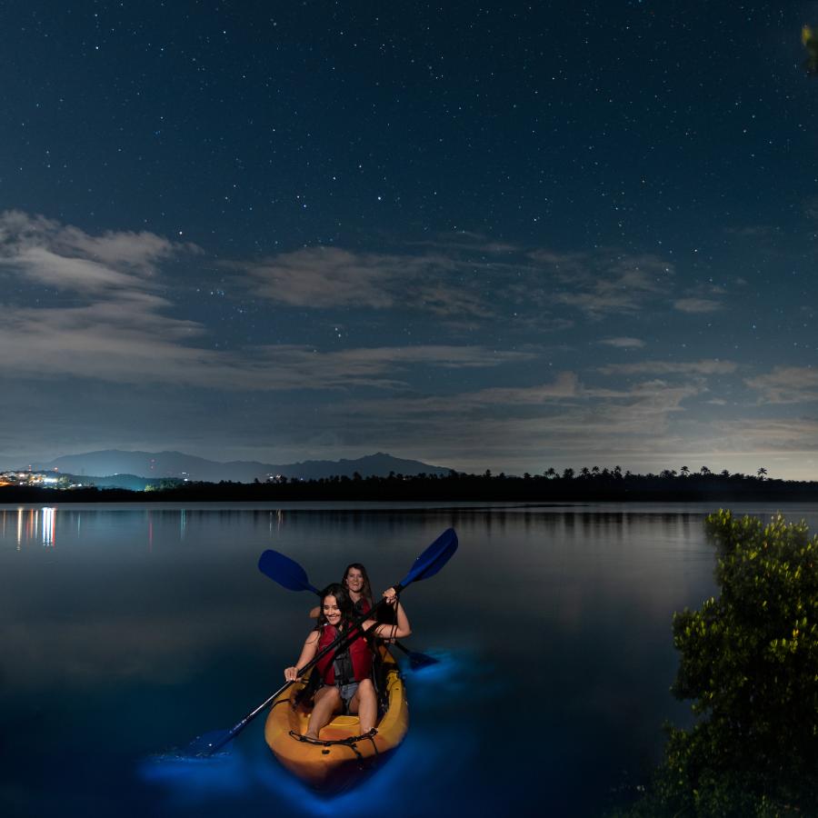 People are kayaking through Vieques' bioluminescent bay. 