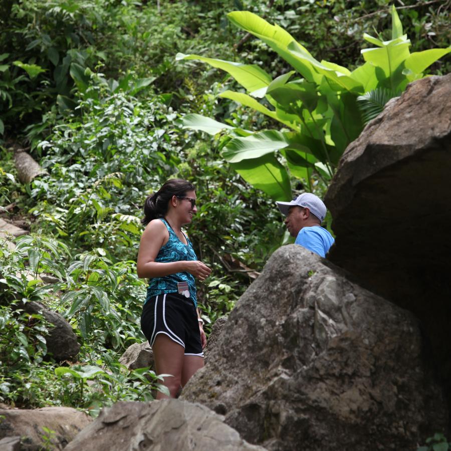 La gente camina por uno de los senderos de El Yunque