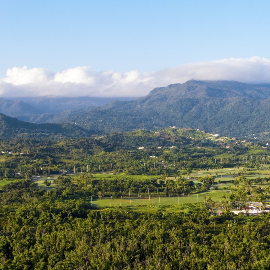 Vista aérea de El Yunque