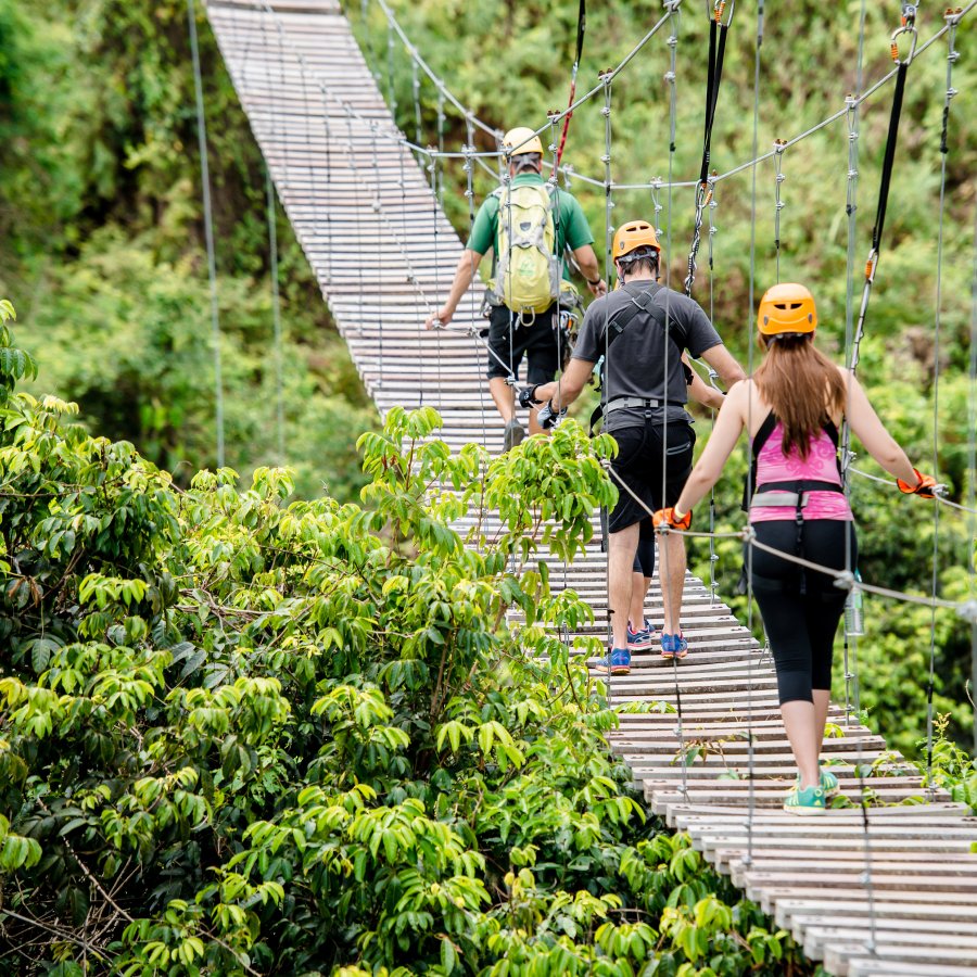 A group in Toro Verde Nature Adventure Park.