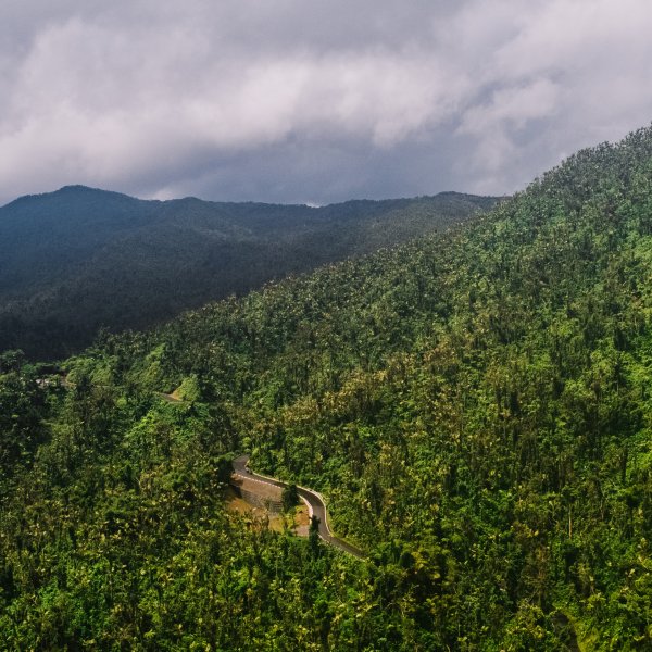 El Yunque Rainforest, Río Grande. 