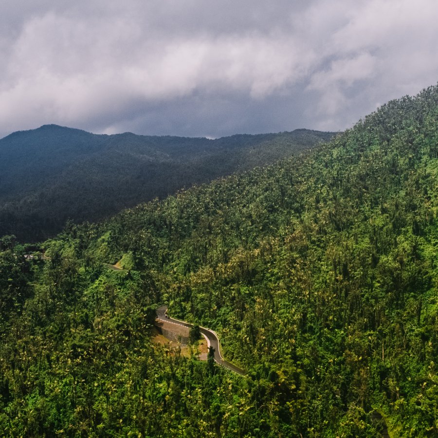 El Yunque Rainforest, Río Grande. 