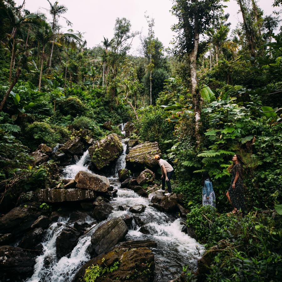 El Yunque
