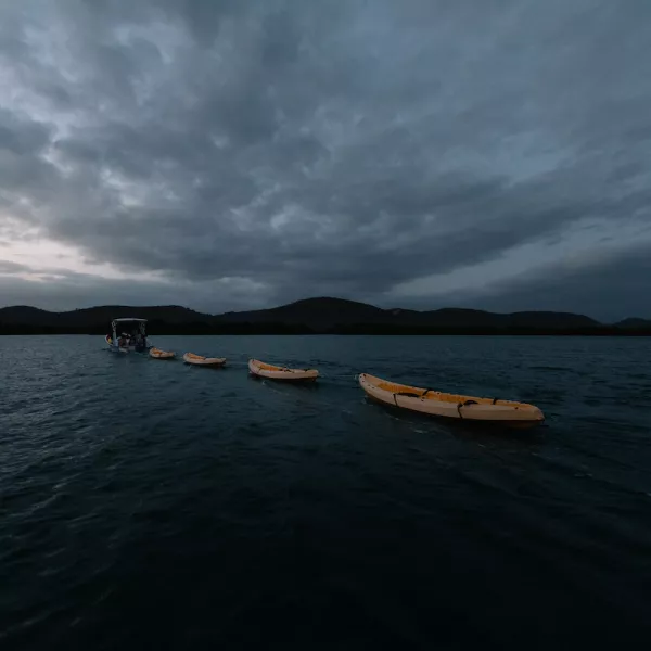 Kayaking at La Parguera
