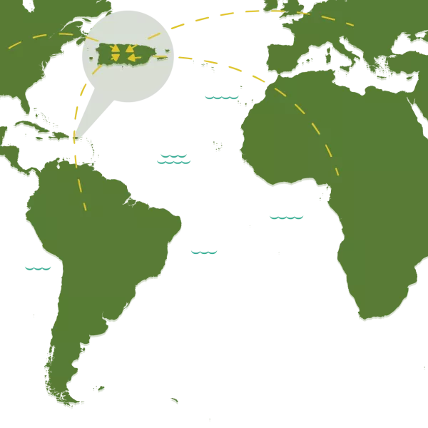 Puerto Rico's culinary map.