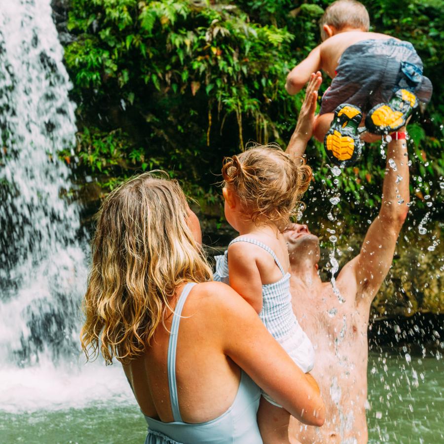 A Family visits the rainforest