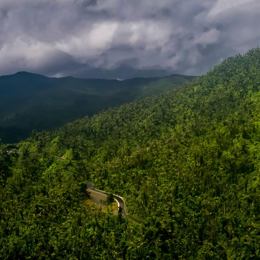 El Yunque is the only tropical rainforest in the U.S. National Forest Service.