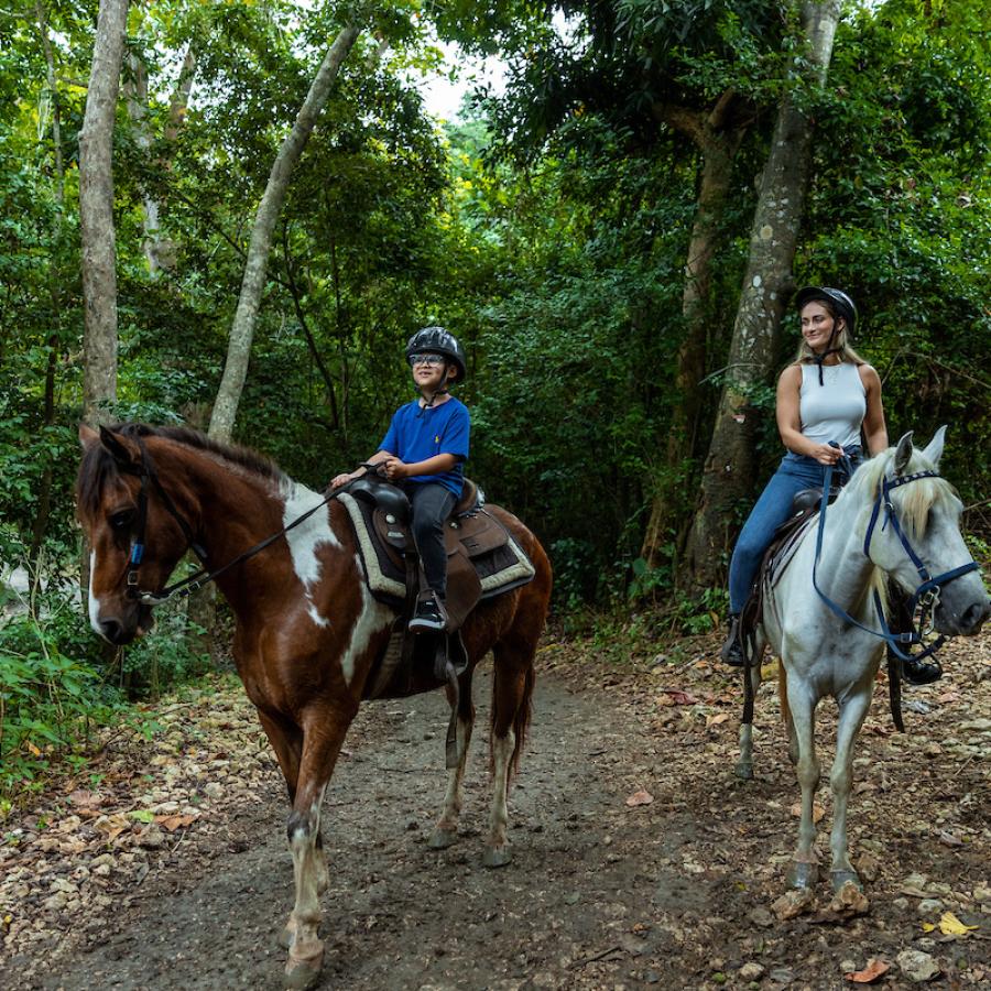 Campo Rico horseback riding