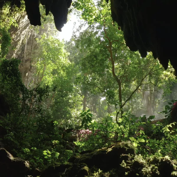 Vista interior de las cavernas de Camuy.