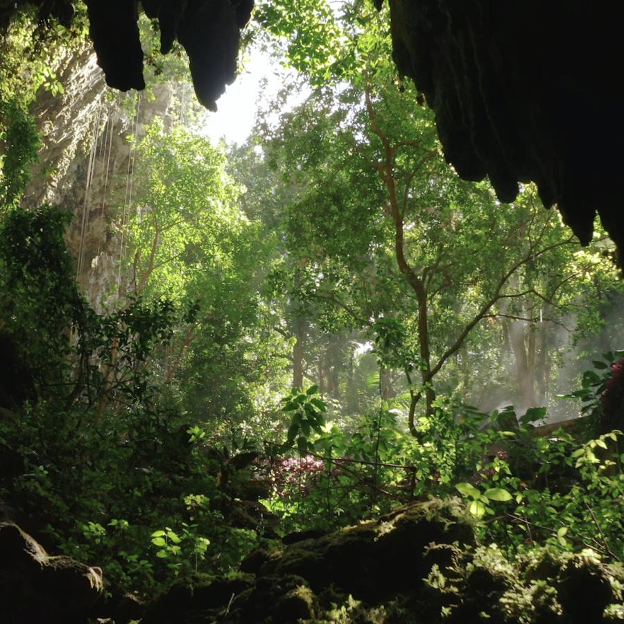 Vista interior de las cavernas de Camuy.