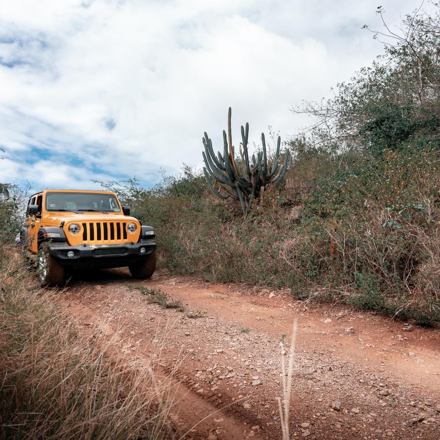 Un jeep amarillo saliendo del camino trillado en Culebra.
