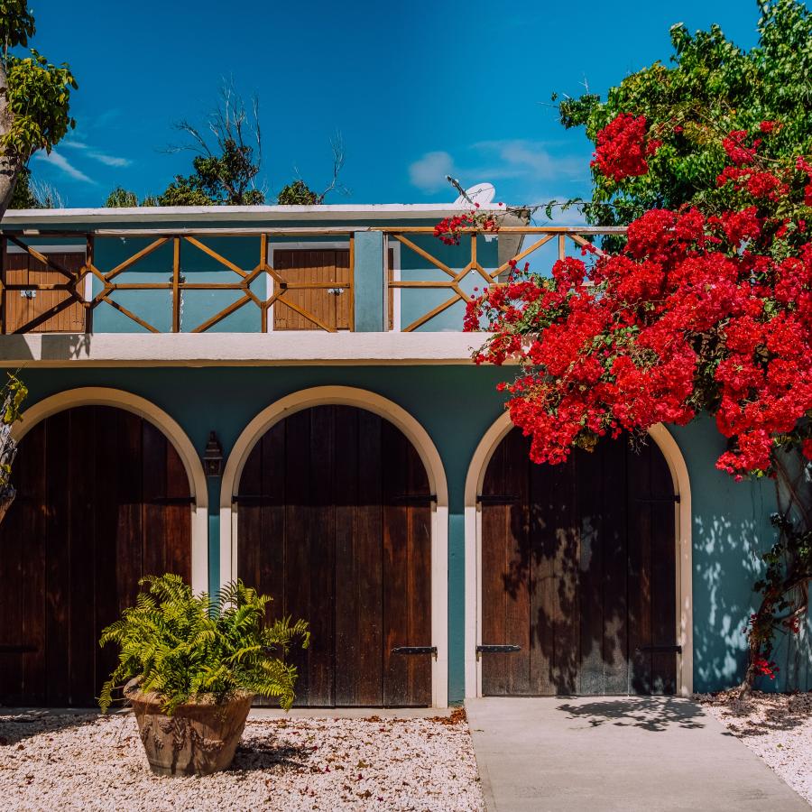 Vista frontal de un restaurante en Vieques, hay árboles a ambos lados de la entrada.