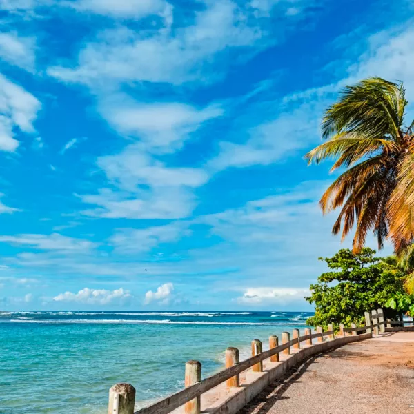 Boardwalk along a sky-blue beach with palm trees on its right side. 