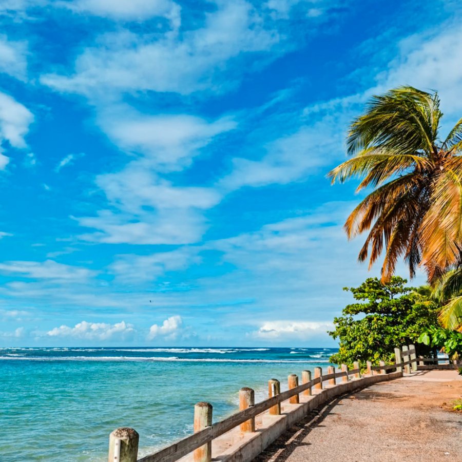 Boardwalk along a sky-blue beach with palm trees on its right side. 
