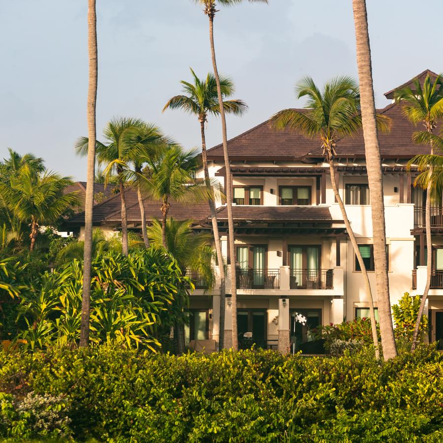 Resort building surrounded by palm trees and nature. 