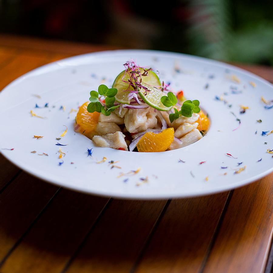 Ceviche en un plato blanco emplatado con pequeñas flores en el borde.