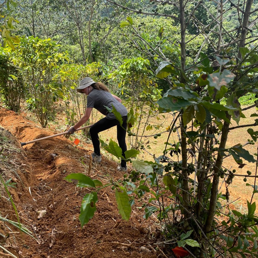 A woman works the land for resources for World Central Kitchen. 