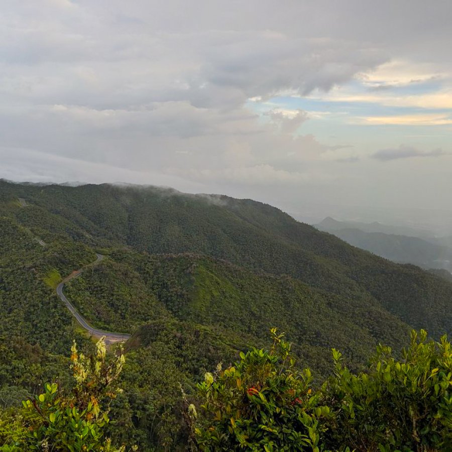 Cerro Punta in Jayuya
