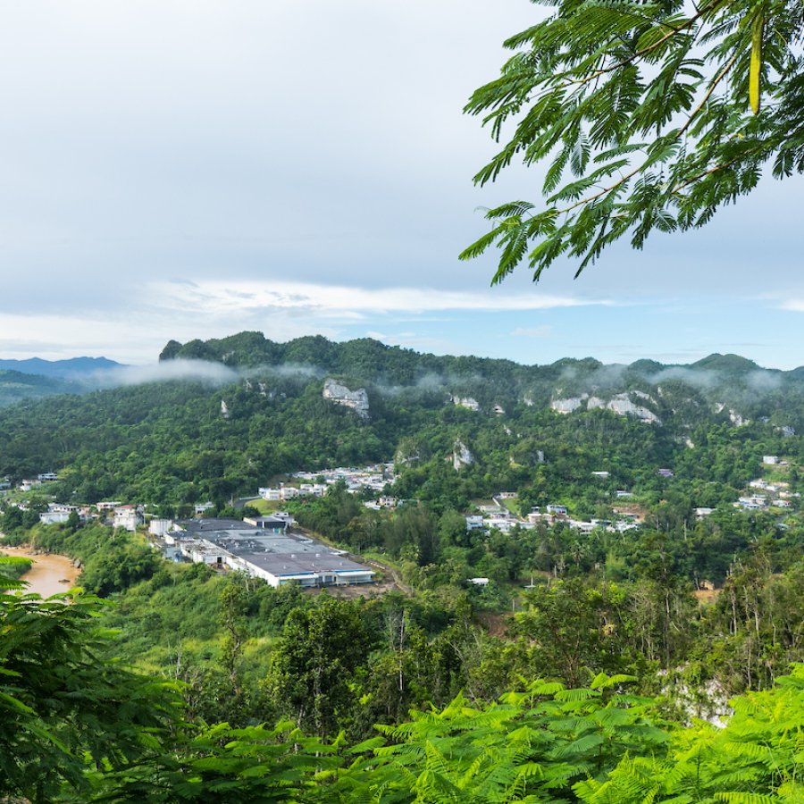 View of the mountains in Ciales.
