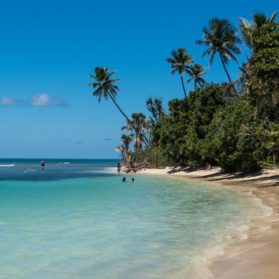 A tropical beach is framed by palm trees in Buye, Puerto Rico.