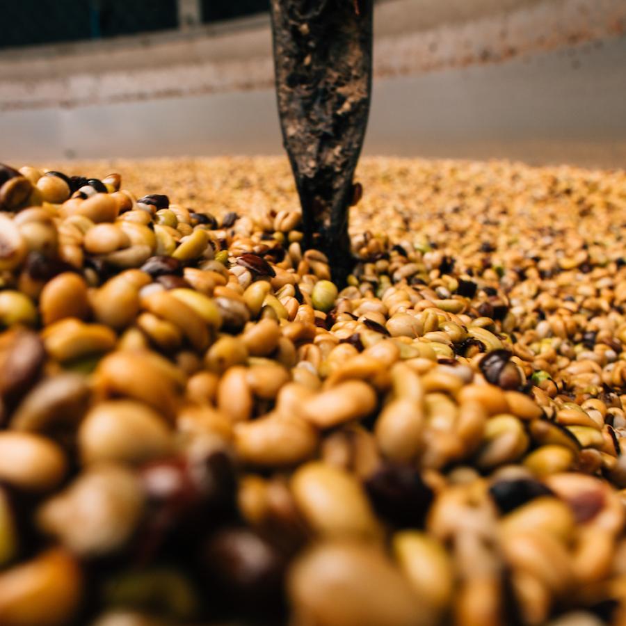 Coffee beans being roasted in Ciales