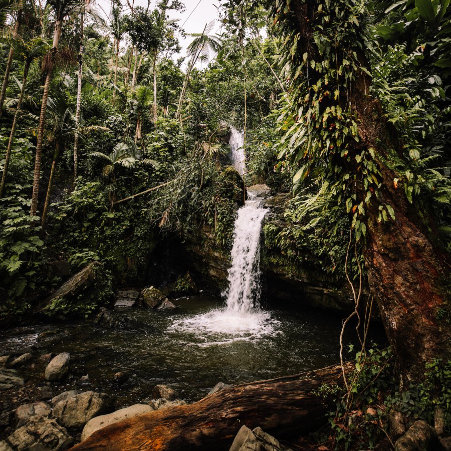 A waterfall at El Yunque National Forest