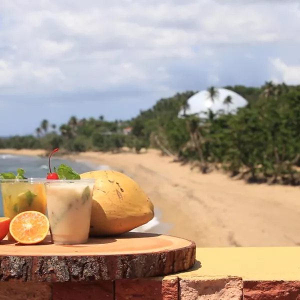 Luxury villa with oceanview terrace at Royal Isabela, a top west Puerto Rico resort.