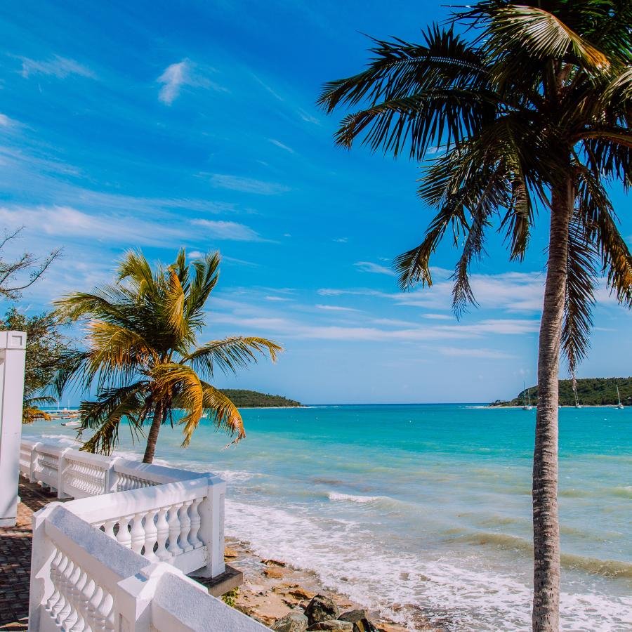 The beautiful Malecon Beach in Vieques is framed by palm trees.