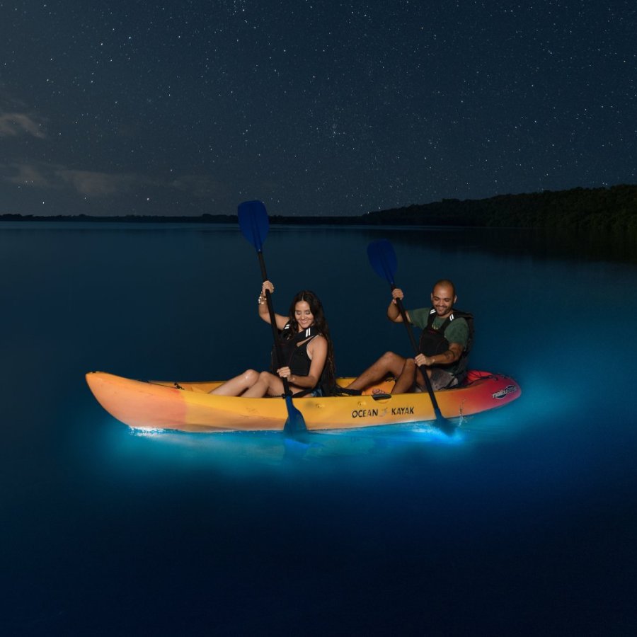 A pair of kayakers paddle through a bioluminescent bay in Puerto Rico.