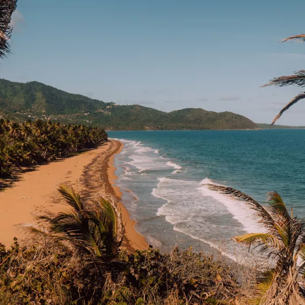 A wide view of a beach in Puerto Rico framed by palm trees and with mountains in the background