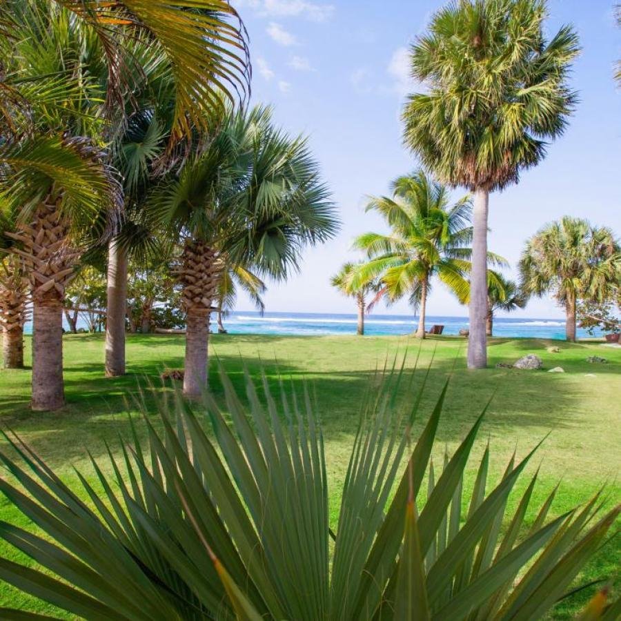 Lush landscaping at Villa Montana Beach Resort