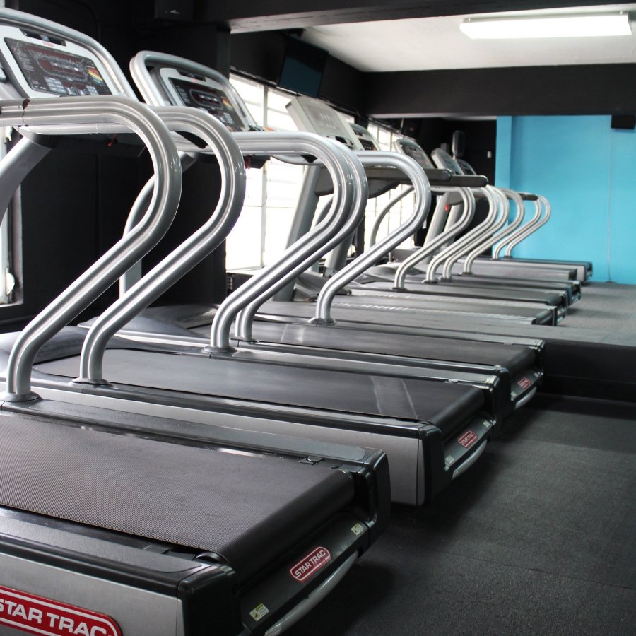 Treadmills in a gym.,