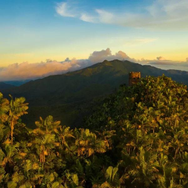 Panoramic view of Mount Britton Tower, a highlight of El Yunque hikes in Puerto Rico.