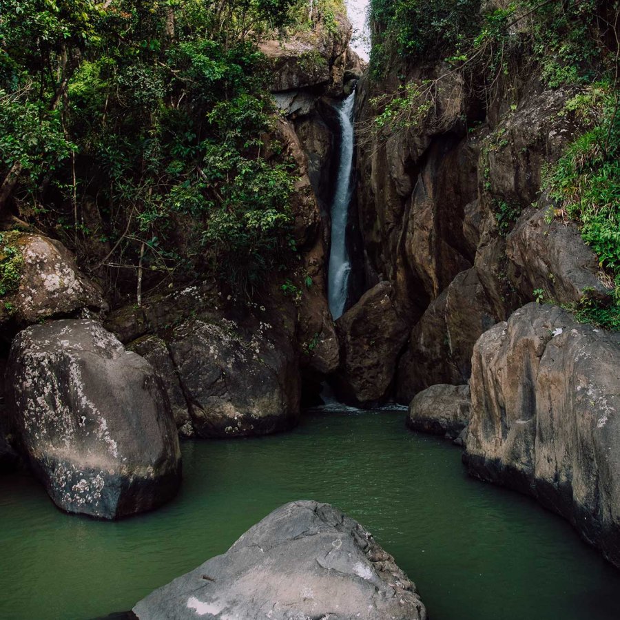 Rio Espíritu Santo waterfall spills into a lake surrounded by dense forest in El Yunque National Forest, Puerto Rico.