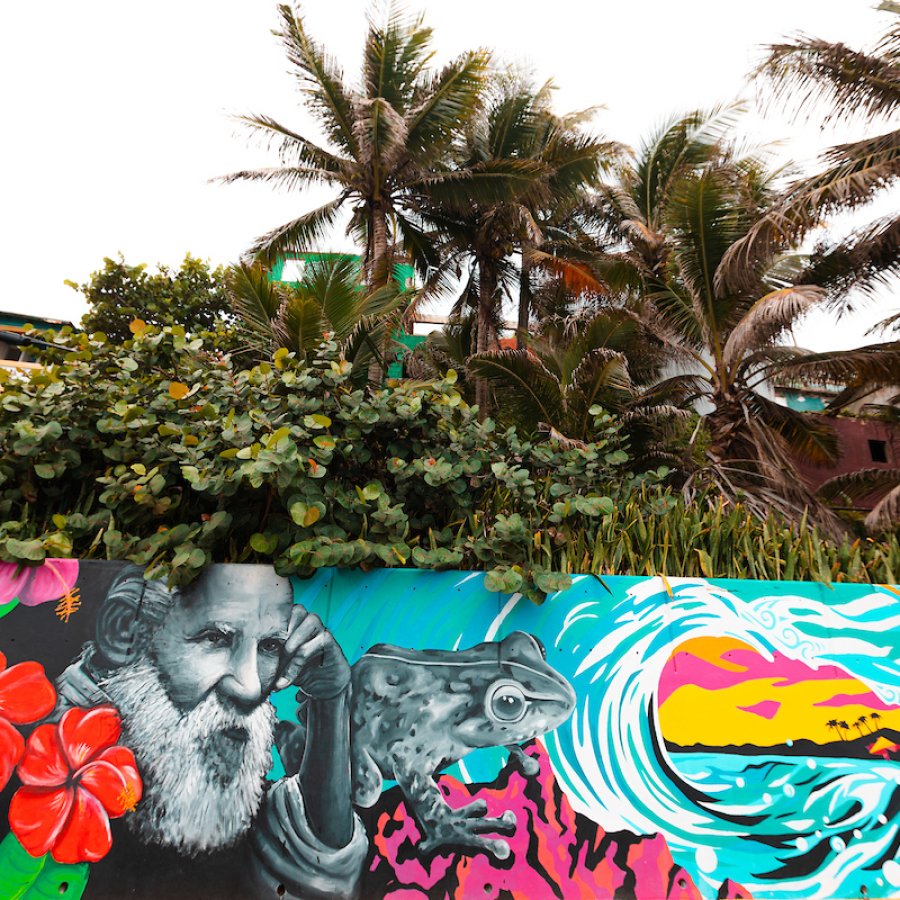 A vibrant mural in Puerto Rico features a sunset oceanfront view.