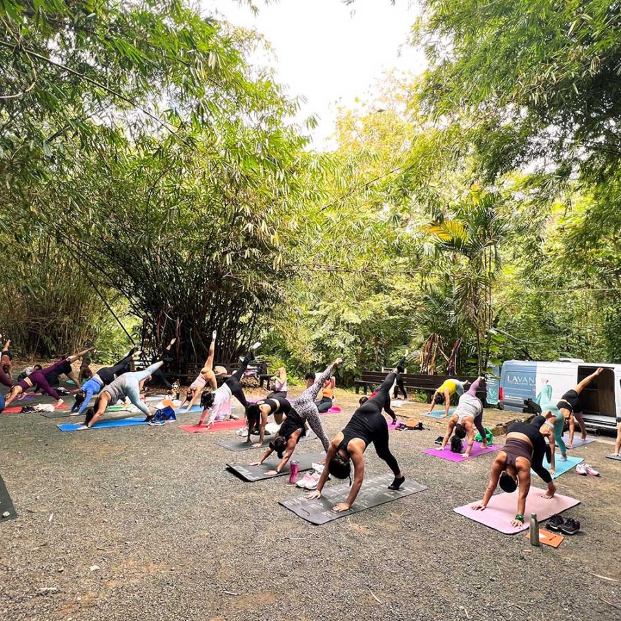 A group of people do yoga in a lush outdoor setting with the Lavanda Holistic Clinic van in the background.