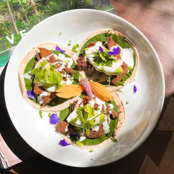Toma cenital de un plato de comida colorida a base de plantas en Aovara, el restaurante del hotel Dreamcatcher. San Juan, Puerto Rico.