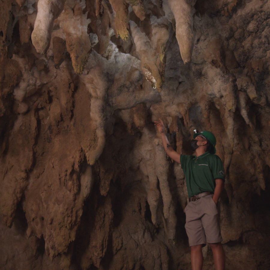 Impressive stalactites in the Río Camuy Caverns.