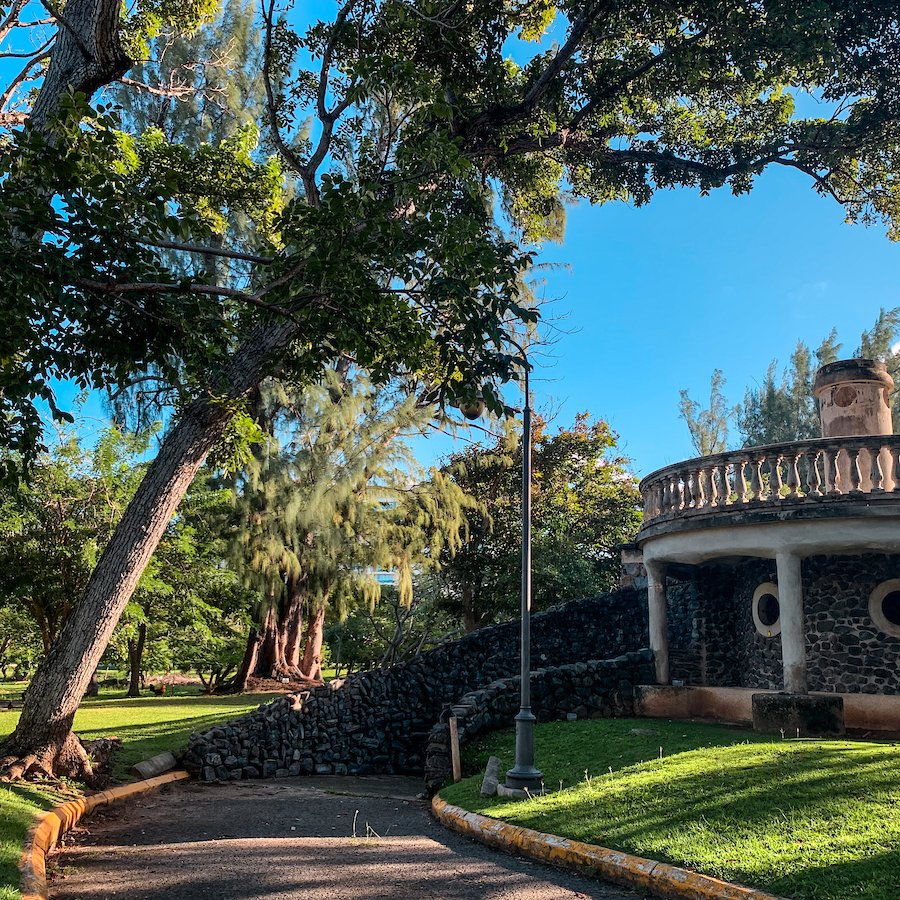 Camino serpenteante a través del Parque Luis Muñoz Rivera en un día soleado en San Juan.