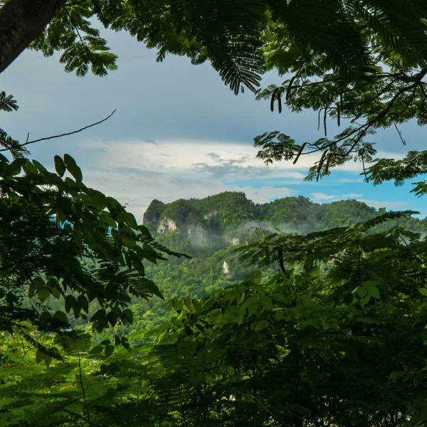 Vista panorámica de las montañas de Ciales rodeadas de exuberante vegetación tropical, mostrando la belleza natural de la Cordillera Central de Puerto Rico.