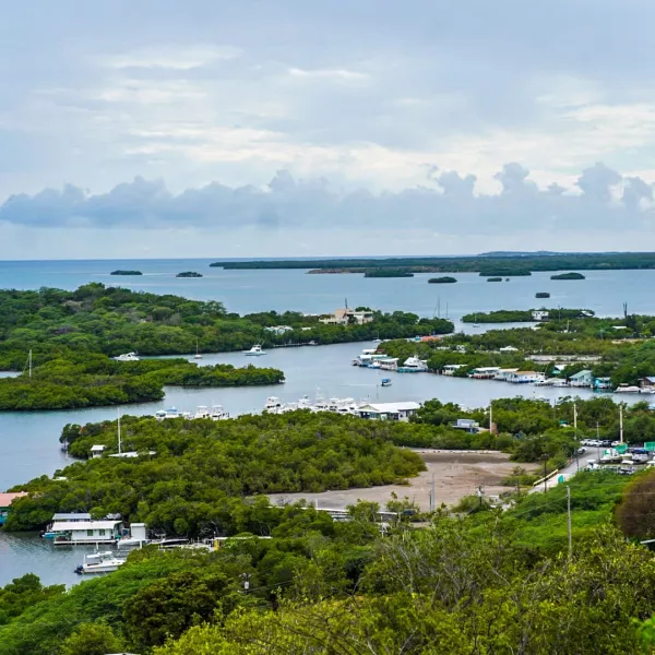Discover La Parguera, a laid-back coastal town perfect for snorkeling and exploring its glowing bioluminescent bay.