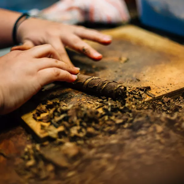 Artisan rolling handmade cigars at the Tobacco Museum in Caguas, Puerto Rico.