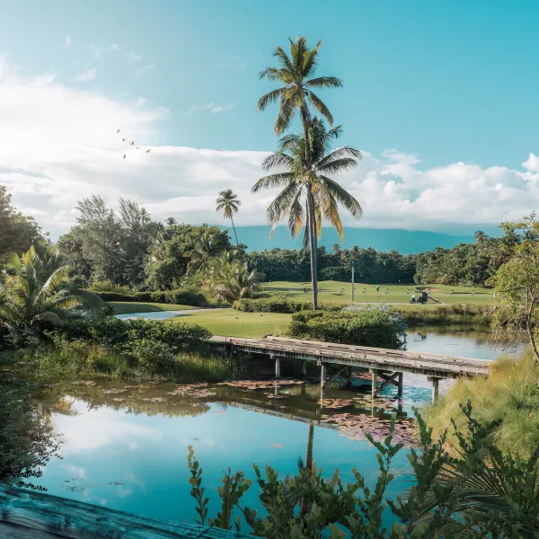 Scenic view of the golf course at The St. Regis Bahia Beach in Puerto Rico, with palm trees, a wooden bridge over water, and mountains in the background.