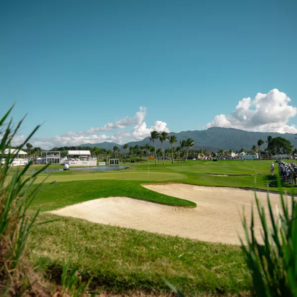 "Scenic view of the Grand Reserve Golf Club with a sand bunker and green in the foreground, palm trees and mountains in the background.