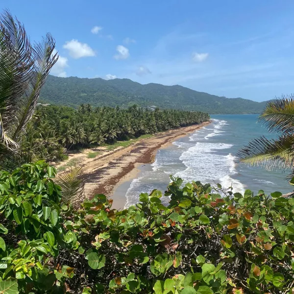 Maunabo