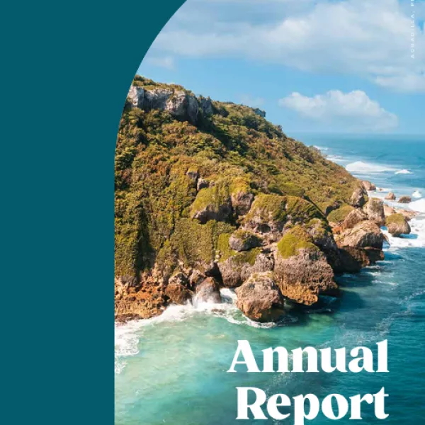 Annual report