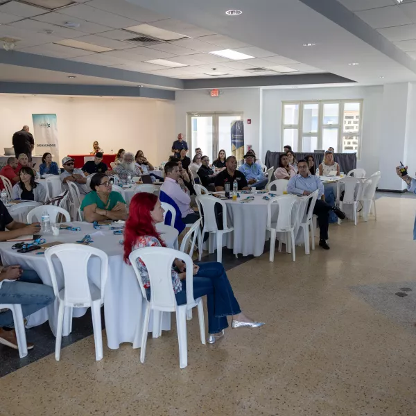 TALLER CAMUY