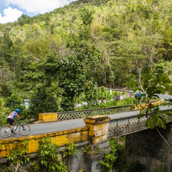 Ciclistas cruzando un puente rodeado de vegetación en Aibonito, un pueblo de montaña conocido por sus paisajes naturales y clima fresco.